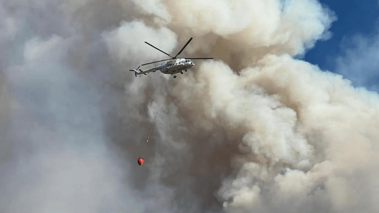 Orman yangınına havadan ve karadan müdahale
