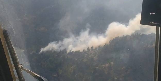 Orman yangınında 1 hektar alan zarar gördü