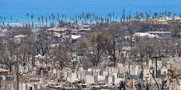 Orman yangınında kaybolan 850 kişiden haber alınamıyor