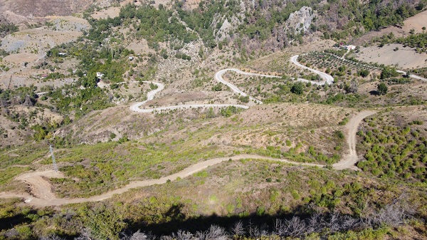 Orman yangınında küle dönmüştü! 2 yılda büyük değişim