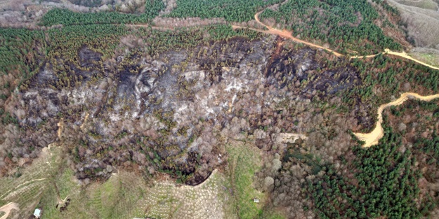 Orman yangınında zarar gördü! Havadan görüntülendi