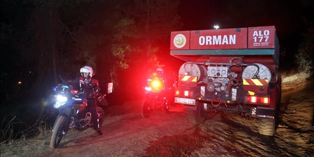 Orman yangınıyla ilgili 1 kişi yakalandı