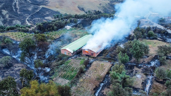 Orman yangınları can aldı
