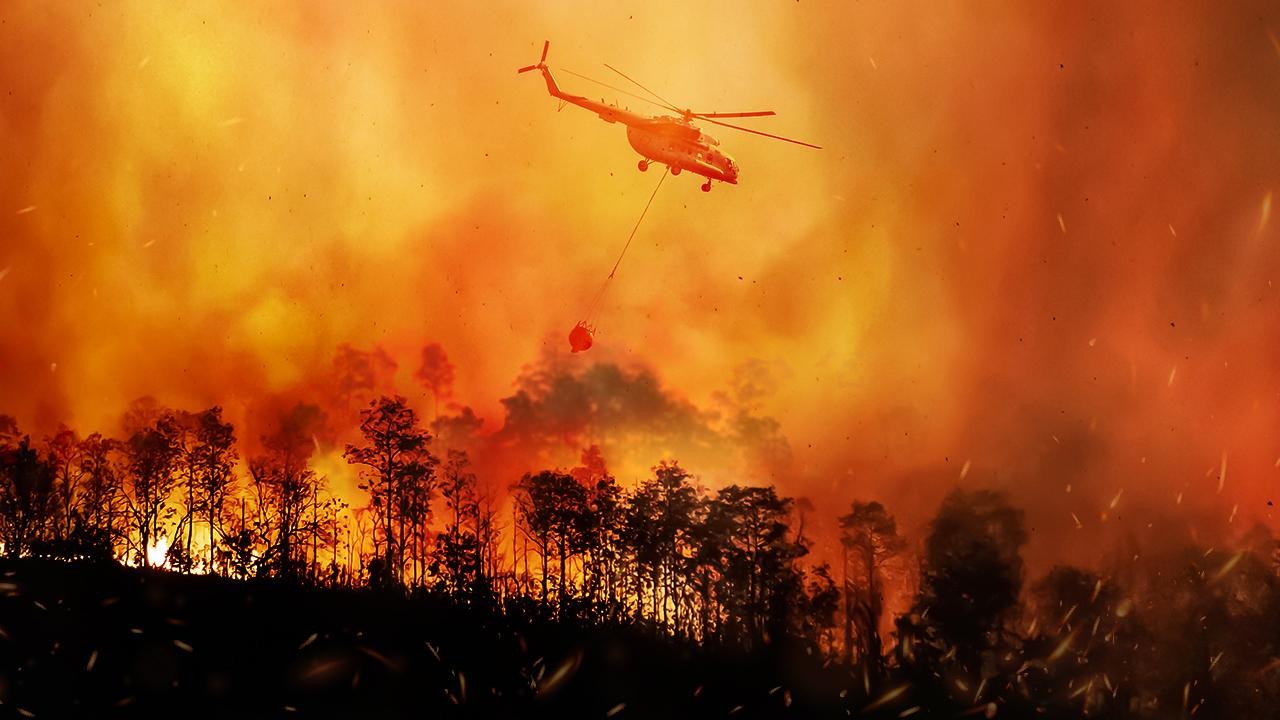 Orman yangınları ile mücadele yangını söndürmekle mi olur?