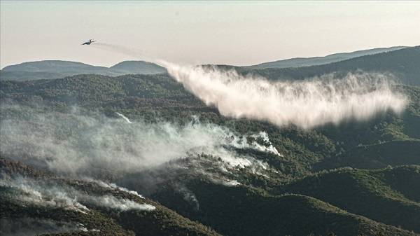 Orman yangınları son durum | Orman yangınları bitti mi?