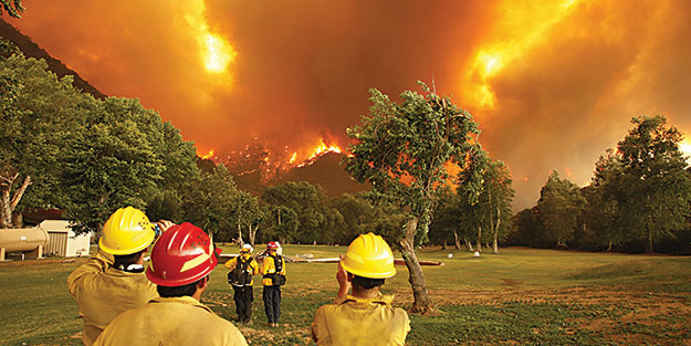Orman yangınları yüzde 50 azaldı