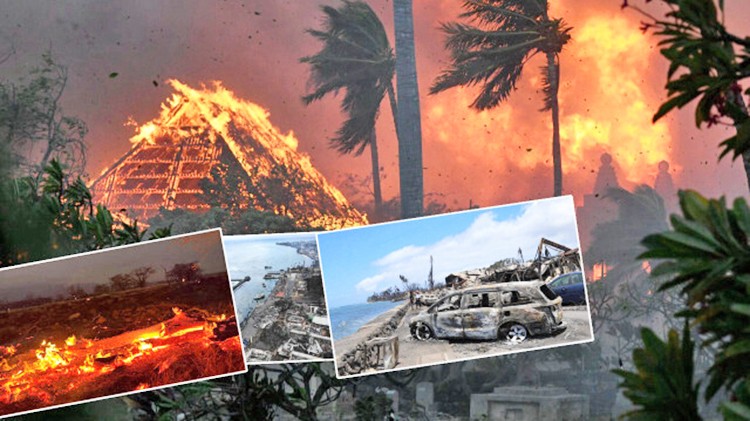 Orman yangınlarında can kaybı da yaşanmıştı: Yangında zarar gören ailelere tazminat verilecek