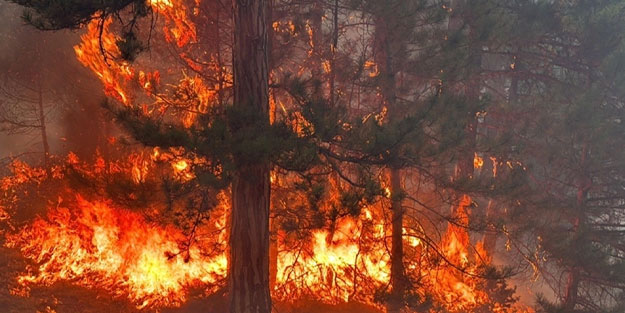 Orman yangınlarında yeni gelişme: Baba ile oğul yakalandı