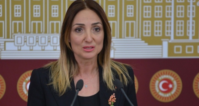 ‘Orman yangınlarını Meclis'e taşıyacağım’
