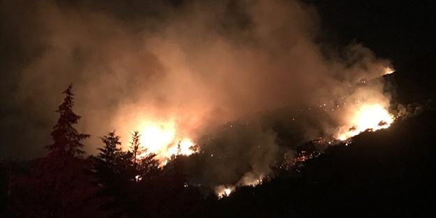 Orman yangınlarını terör örgütü PKK üstlendi