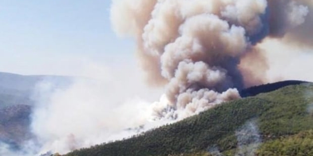 Orman yangınlarını 'yere izmarit bile atmayan' terör örgütü PKK üstlendi!
