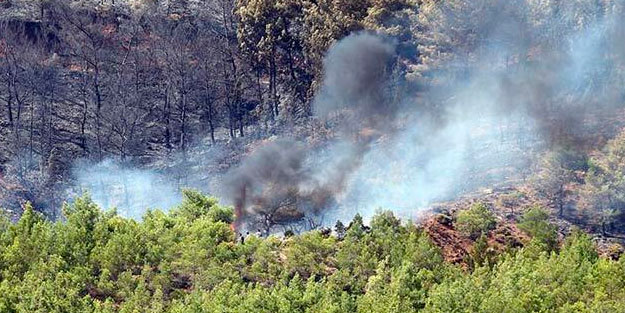 Orman yangınlarıyla ilgili flaş açıklama! 