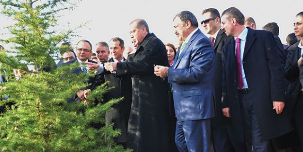 Orman Bakanlığı’ndan atak