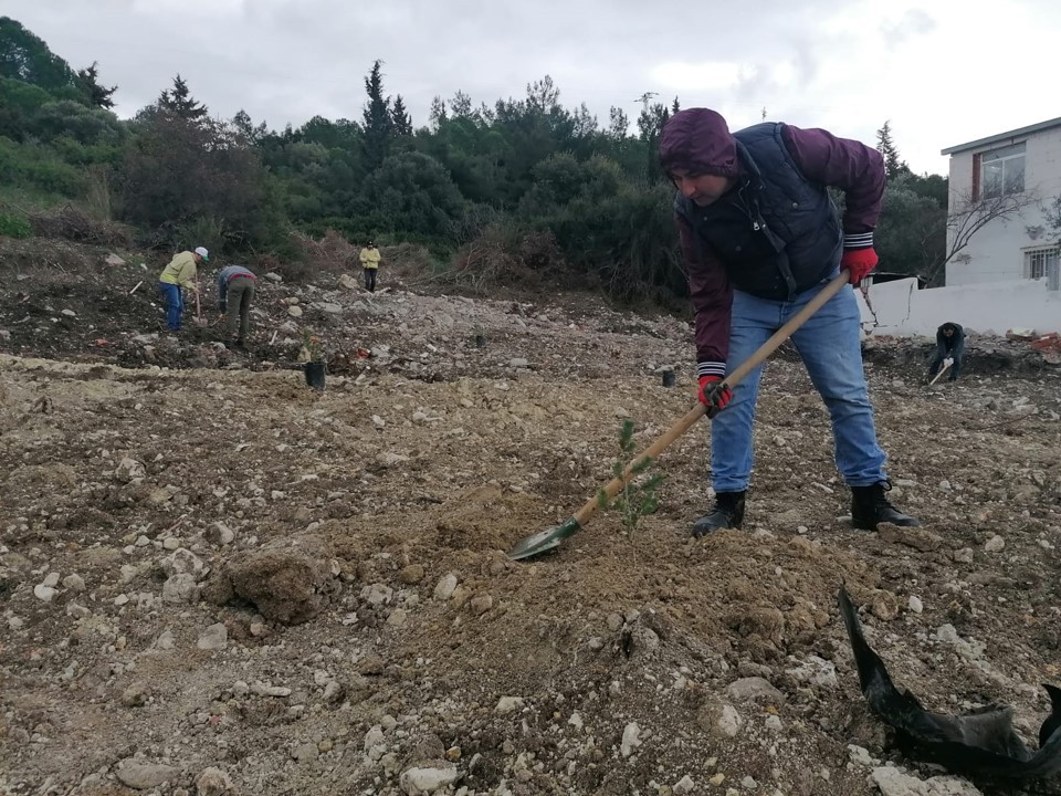 Ormana yapılan kaçak binaların yerine 200 fidan 