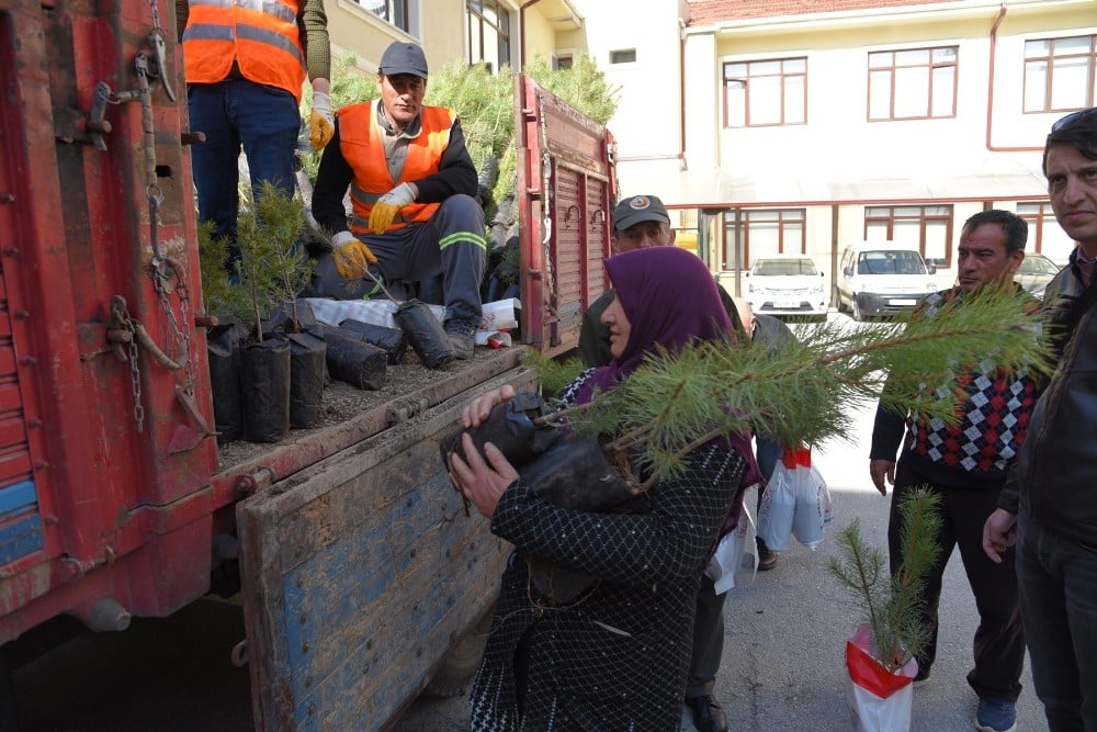 Ormancılık Günü’nde halka 5 bin fidan dağıtıldı 