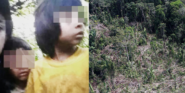 Ormanda kaybolan 5 yaşındaki kardeşler 4 hafta sonra böyle bulundu!