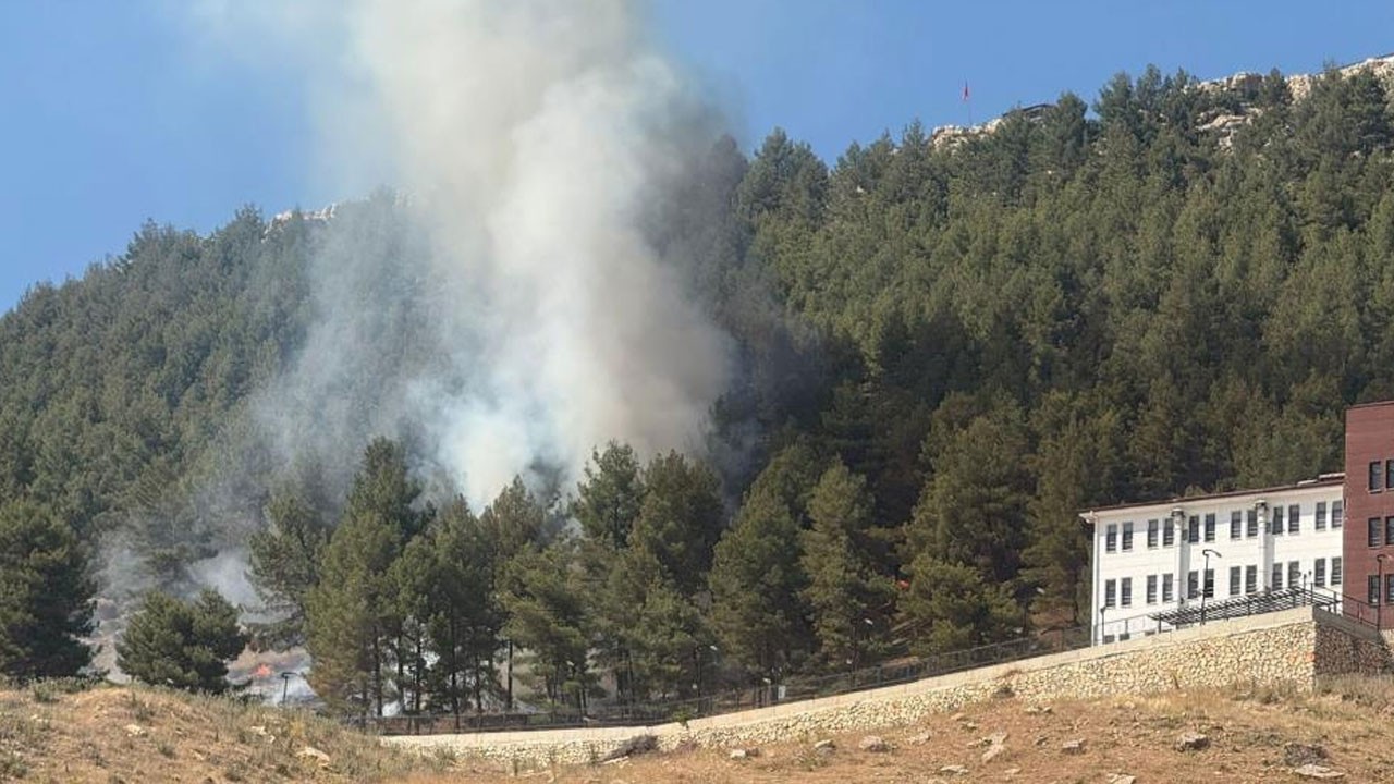 Ormanda korkutan yangın