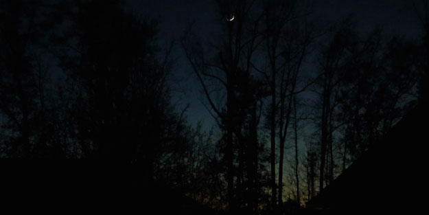 Ormanda Mahsur Kalan Kişi Kurtarıldı