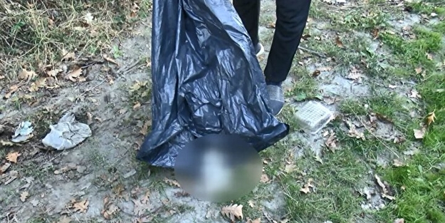 Ormandaki çöp poşetinden vahşet çıktı