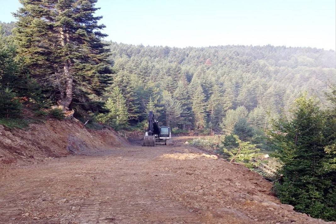 Ormanlara yeni yollar yaptırılıyor