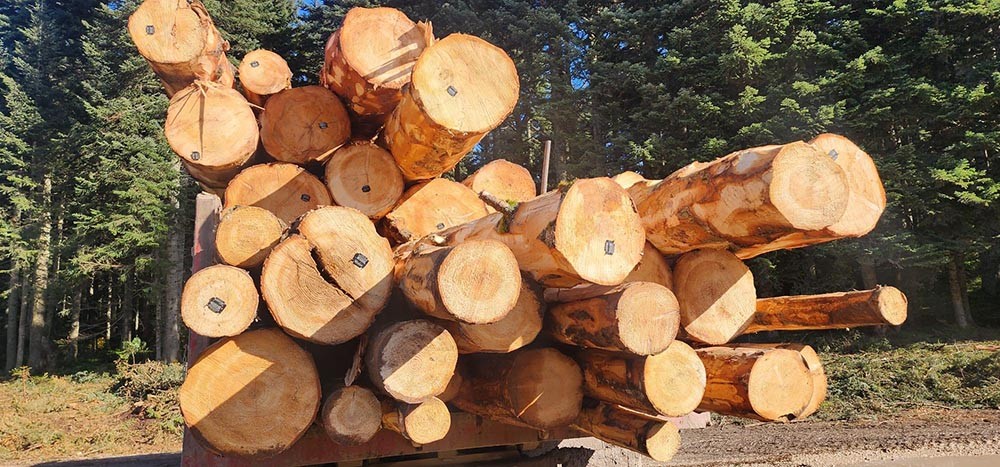 Ormanlarda yeni sisteme geçildi! İlk Bolu’da start verildi!