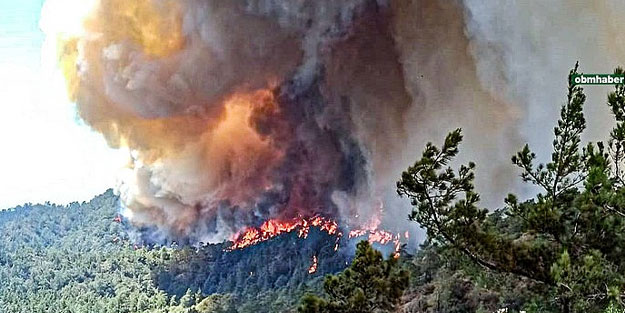 Ormanları yakanlara idam mı geliyor? İdam cezası geri mi geliyor?