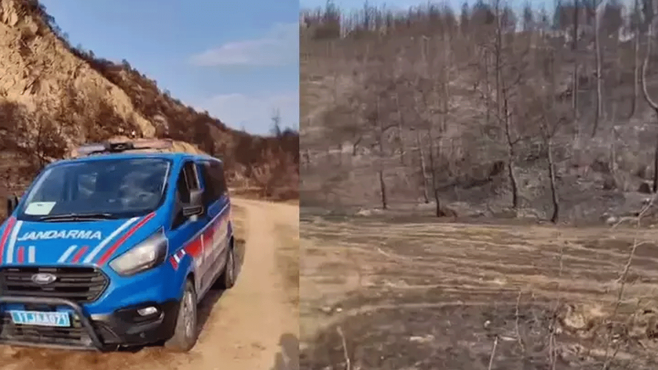 Sakarya'dan dehşete düşüren haber
