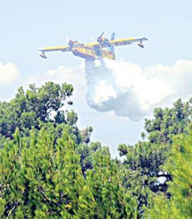 Ormanlarımız kül oluyor