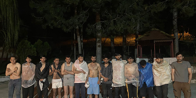 Ormanlık alanda 84 göçmen yakalandı