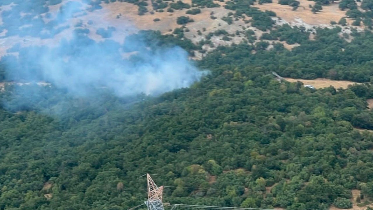 Ormanlık alanda alevler yükseldi! Helikopter destekli müdahaleyle söndürüldü