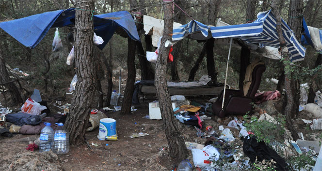 Ormanlık alanda ceset bulundu