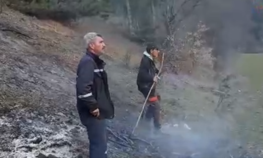 Ormanlık alanda çıkan yangını bir çoban önledi