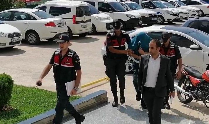 Ormanlık alanda kenevir yetiştiren şahıs adliyeye sevk edildi 