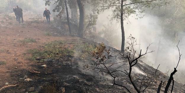 Ormanlık alanda yangın!