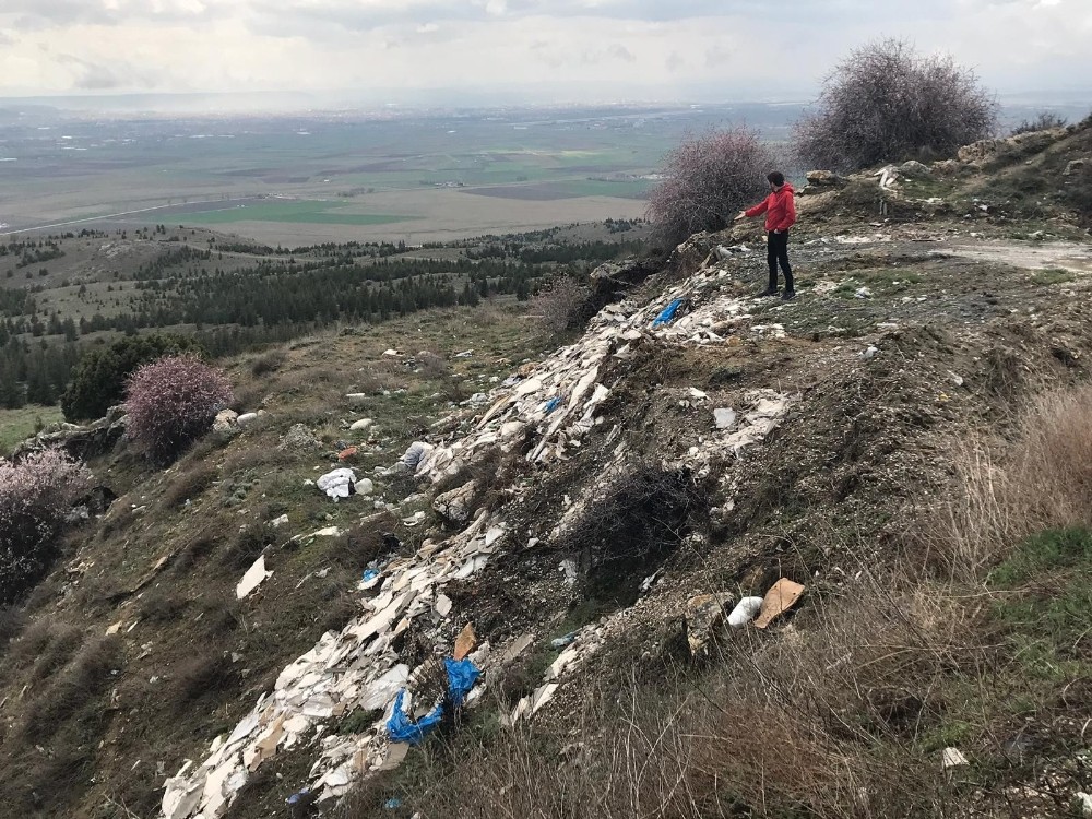 Ormanlık alandaki görüntüler pes dedirtti 