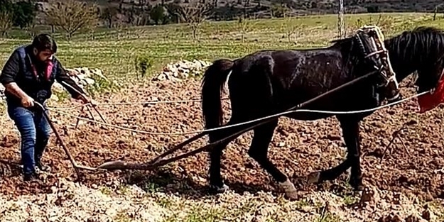 Örnek davranış: Yaşlı çiftçinin tarlasını imam sürdü