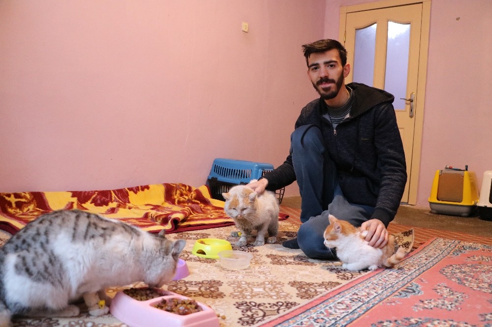 Örnek genç, depremzede kedileri en kaz altından çıkardı, sahiplendi 