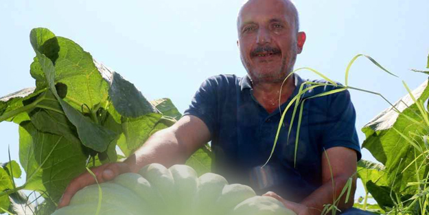 Örnek olmak istedi milyarder oldu!: O tarla mahsul değil para topluyor! öyle bir şey ekti ki sonuç şok etti