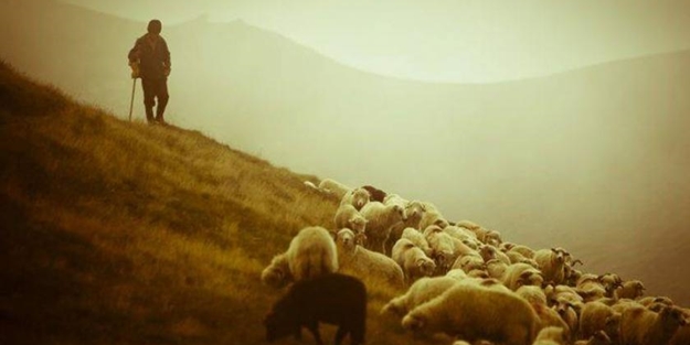 Örnek proje! 2 yılda 80 bine ulaştı
