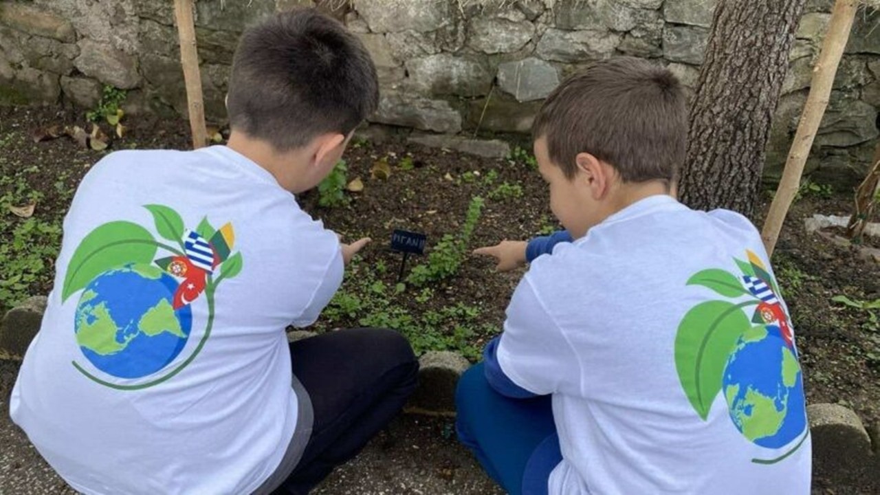 Örnek uygulama! Okullarda sebze yetiştirecekler
