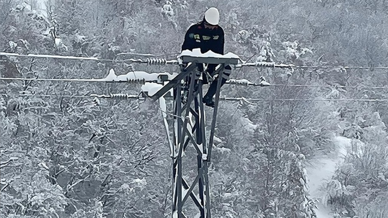 Orta Karadeniz’de kar yağışı elektrik kesintilerine neden oldu