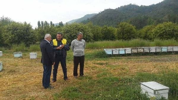 Ortaca'da 50 kovan arı telef oldu