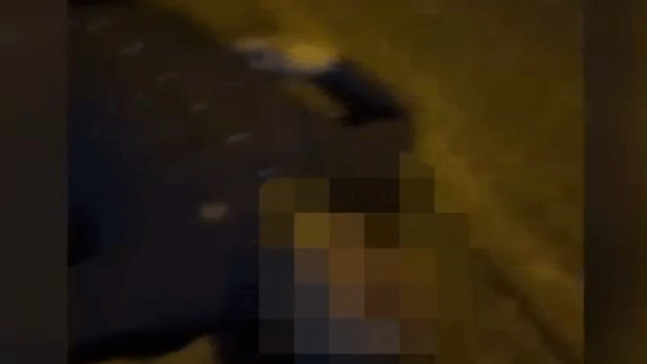 Ortağını 7 kurşunla öldürdü! Mahkemede 'karıncayı bile incitmem' dedi