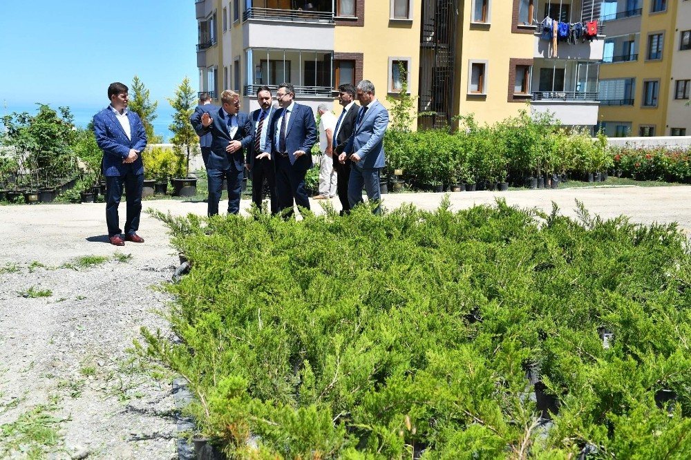 Ortahisar’da bahar cümbüşü başladı 