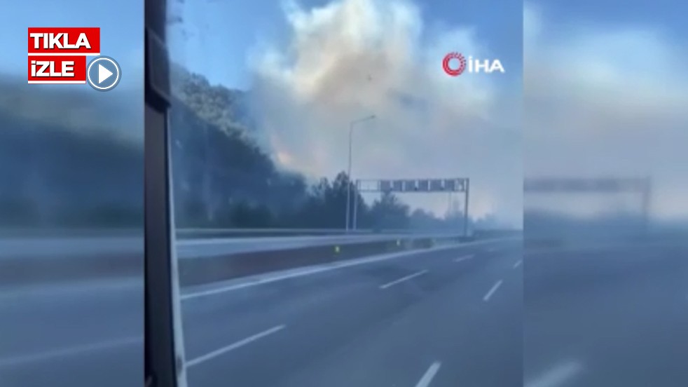 Ortalığı duman aldı! Adana’da ormanlık alanda yangın çıktı
