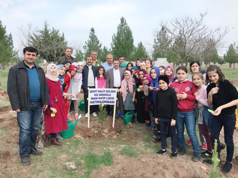 Ortaokul öğrencileri fidan dikti 