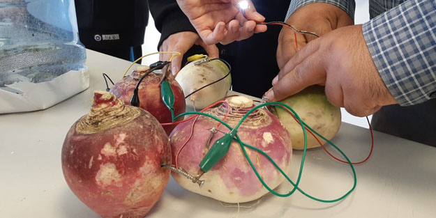 Ortaokul öğrencilerinden büyük başarı! Turptan elektrik ürettiler