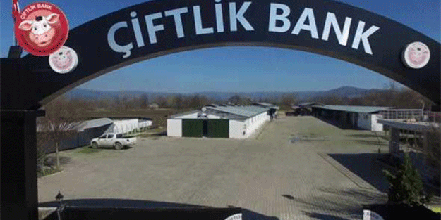 Ortaya çıktı… Tam 500 milyar TL’lik vurgun!