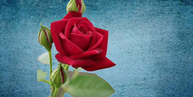 Oruç tutarken eşiyle ilişkiye girmek orucu bozar mı?