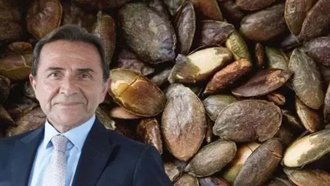 Osman Müftüoğlu öneriyor! Kabak çekirdeği: Kabuklarıyla yiyin, demiri zirve yaptırıyor!